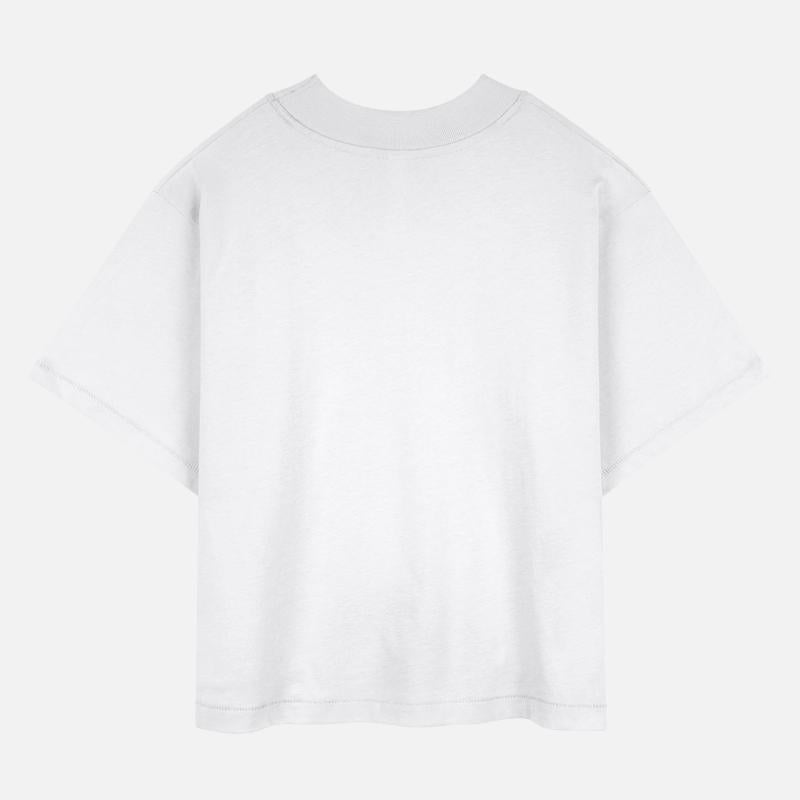 Big Leo Energy funny zodiac Horoscope astrology