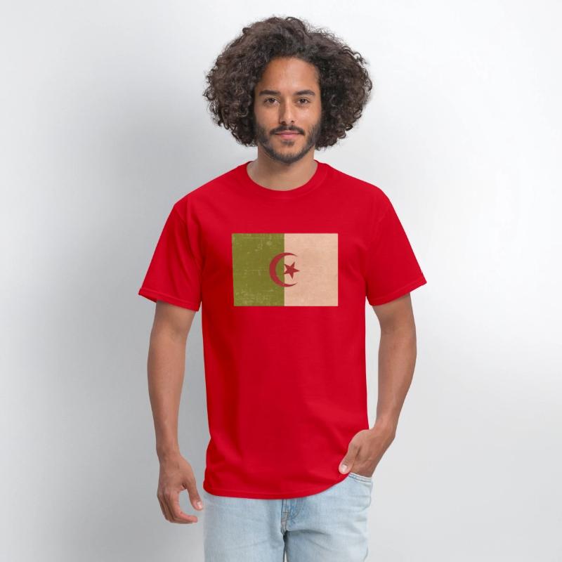 Algerian grunge flag