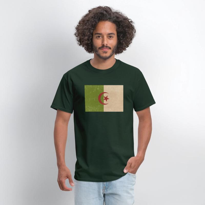 Algerian grunge flag