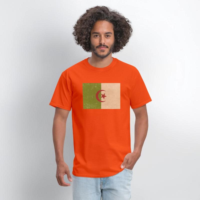 Algerian grunge flag