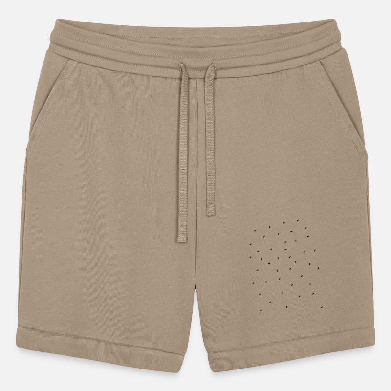 Ants busy Insects social Animals