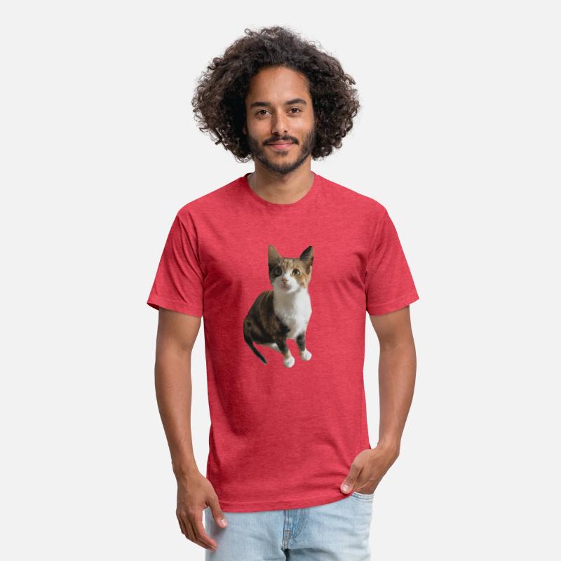 calico cat Classic T Shirt