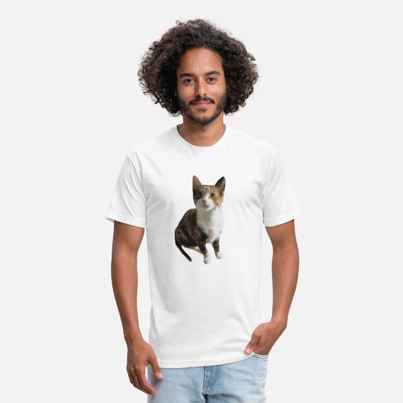 calico cat Classic T Shirt
