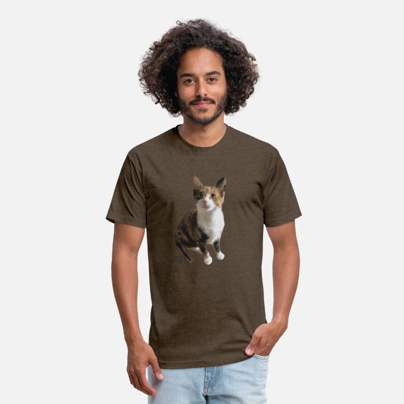 calico cat Classic T Shirt