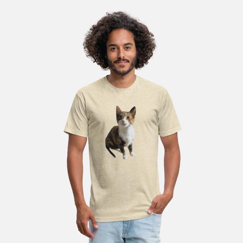 calico cat Classic T Shirt