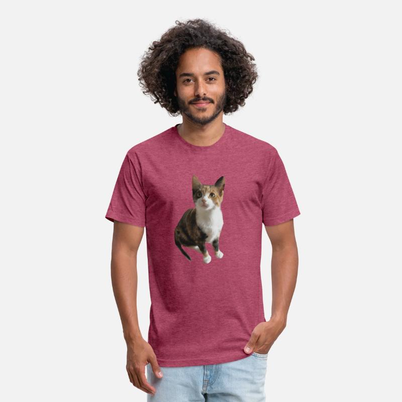 calico cat Classic T Shirt